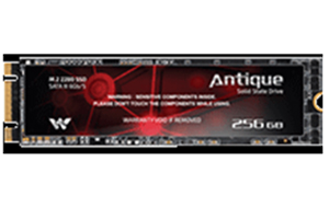 Walton 256GB Antique M.2 2280 SSD