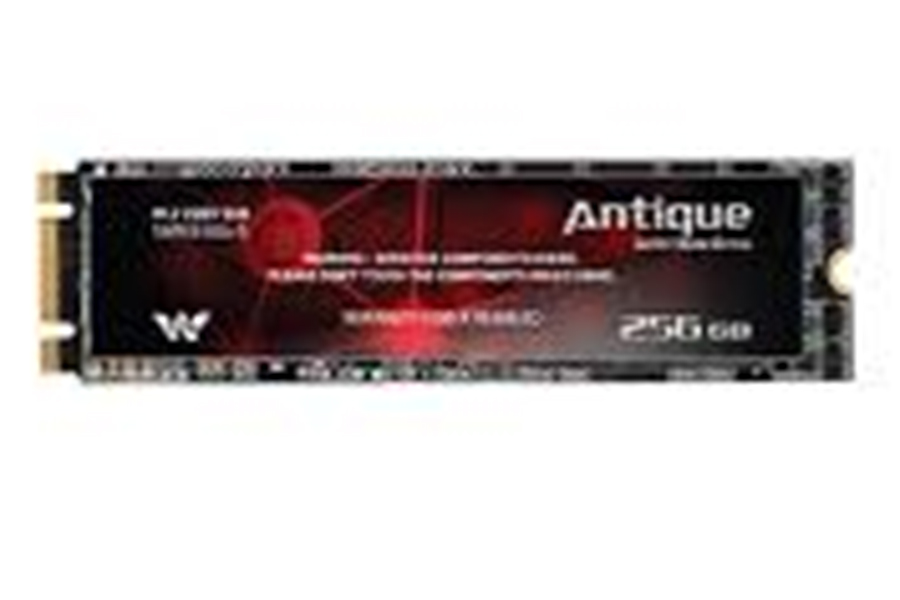 Walton 256GB Antique M.2 2280 SSD